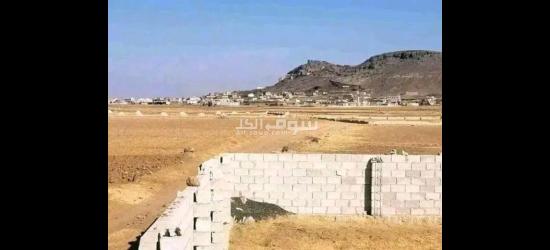 اراضي للبيع في صنعاء همدان حر معمد سكنيه سعر اللبنه الواحده 250 الف قاع المنقب بريش - 3
