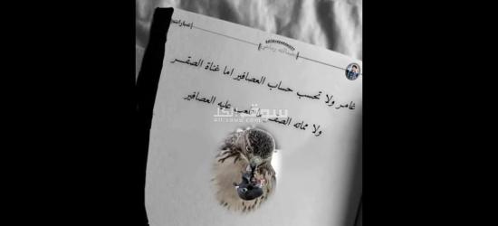 بيع او تاجير - 8