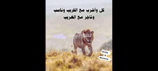 بيع او تاجير - 9