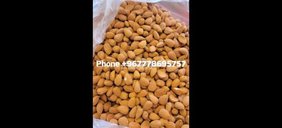 ابو رياض للعسل اليمني الفاخر - 2